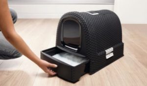 Curver toilette pour chat anthracite