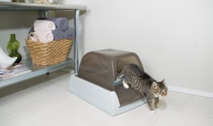 scoopfee litiere automatique